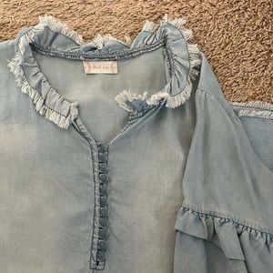 Altard state chambray spring top